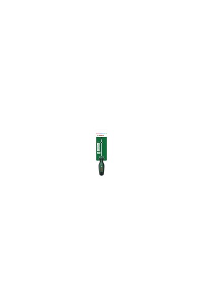Bosch Tornavida Ph1 x 100 mm