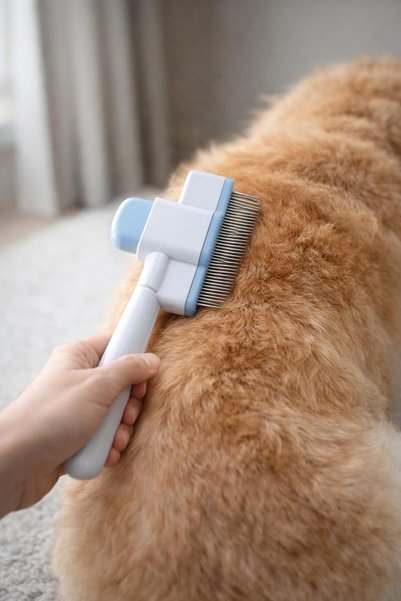 Busstier Cat Dog Hair Removal Comb with Metal Tip, Feather Collection Comb, Ergonomic Pet Grooming Product, Practical