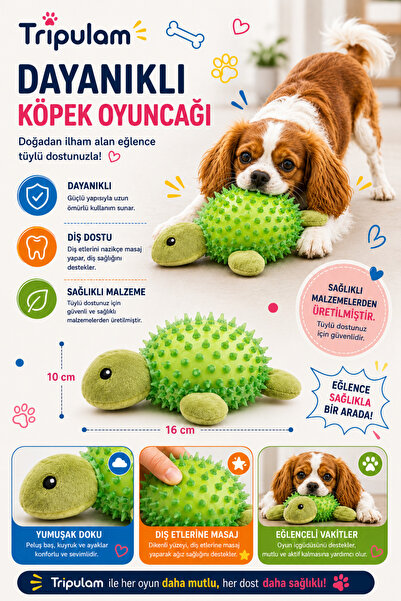 TRİPULAM Kaplumbağa Şekilli Dikenli Köpek Oyuncağı – Diş Temizleyici Dayanıkl...
