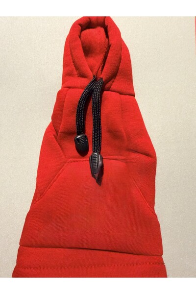 XX Vehicle Gear Polarizer (Red)