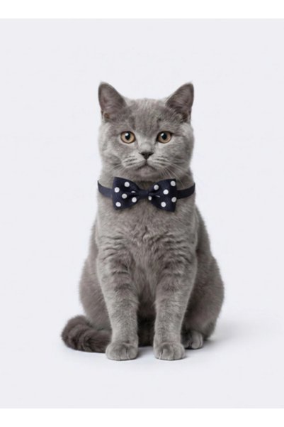 MİHAVLA Cat Bow Tie Collar