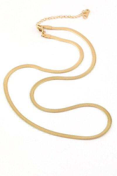 ÖZÇTAKI 316 L Stainless Steel - Anti-Allergic - Tarnish-Resistant Gold-Silver...