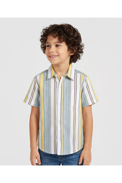Pine kids Viscose Woven Half Sleeves Striped Shirt - Multicolor
