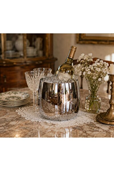 RoyalDecorHome Gümüş Cezve Saksı&Vazo, Kova, Çok Amaçlı Aksesuar