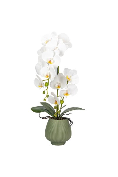 Naimeed Company Orhidee artificială în ghiveci ceramic, 80 cm, Naimeed D6903,...
