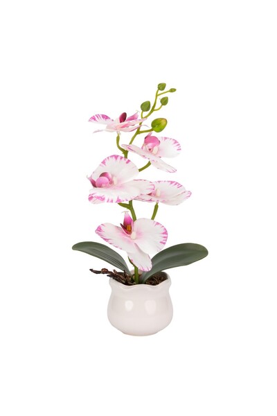 Naimeed Company -looking orchid in a ceramic pot, 49 cm, Naimeed D6892, White...