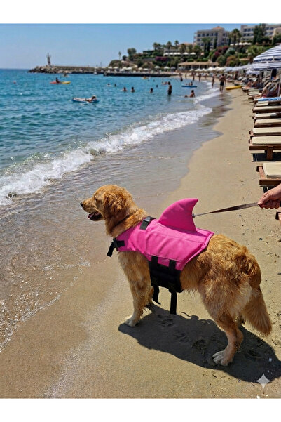 Pro Chem Köpek İçin Sırt Yüzgeçli Can Yeleği
