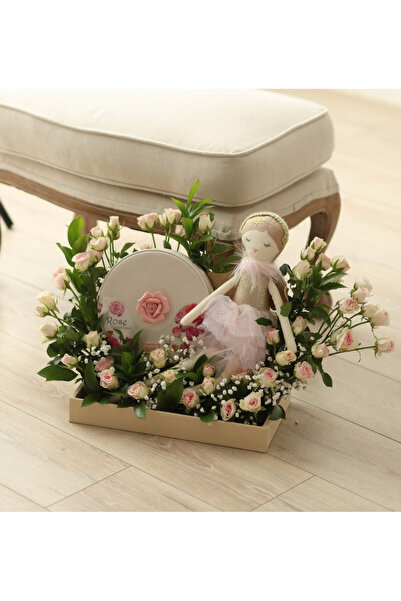 OEMS Baby gift