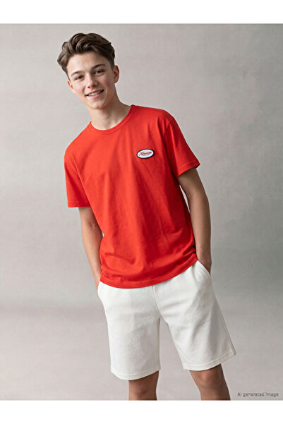 LC Waikiki Shining Choices from Shining Store Zero Roba Collar Boy's T-Shirt