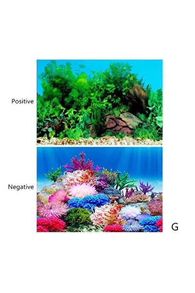 OEM Fundal Acvariu Dublu‑Fata 50×80 cm – Poster HD PVC Gros, Impermeabil, Cul...