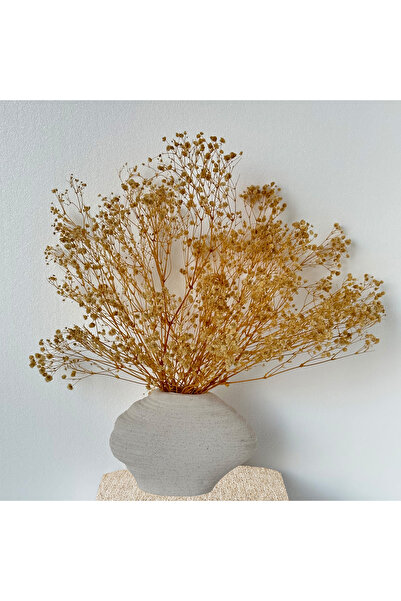 MirageBotanics Cream Nordic Style Gray Color Bohemian Ceramic 22x16 cm Cube V...