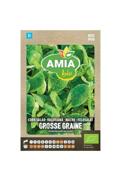 Amia Seminte bio de valeriana Grosse Graine, 2 g