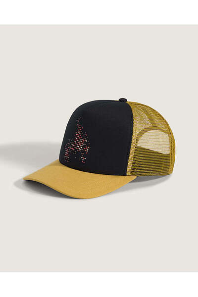 Vans Sapca Skate Flame Trucker