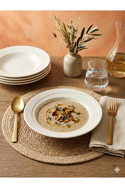 MAViHOME Cream 6 Pieces 23 cm Thick Porcelain Dinner Plate