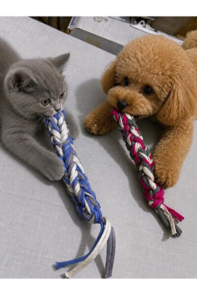 Berliva Home Cat-Dog Teether and Tug Toy (20cm)