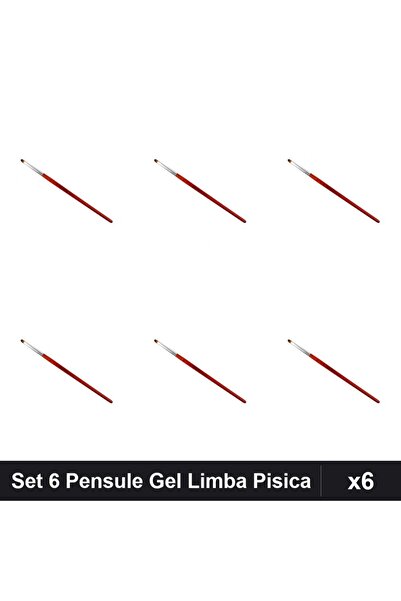 NAİLS Set 6 Pensule Gel Limba de Pisica Nr.4, Manichiura Profesionala UV/LED
