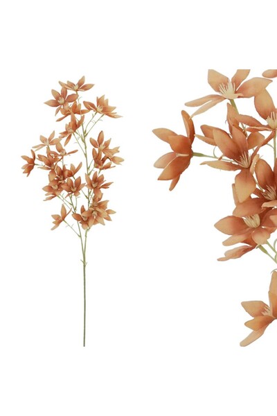 MARHOME Κλαδι Καφε Αστεροειδες Φ36/97cm 36/360Κιβ 00-00-3501-4