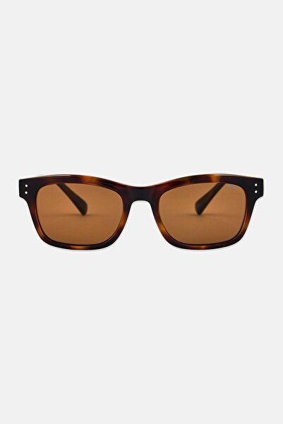INVU Men B2203 Rectangular Sunglasses, Havana Brown