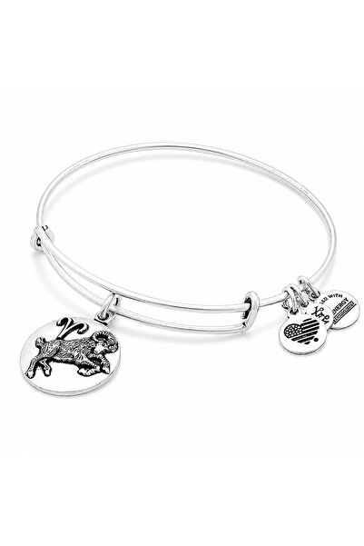 Alex and Ani Bratara Metal A16EB50RS
