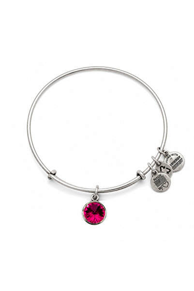 Alex and Ani Bratara Metal A12EB241RS