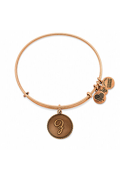 Alex and Ani Bratara Metal A08EB91ZG