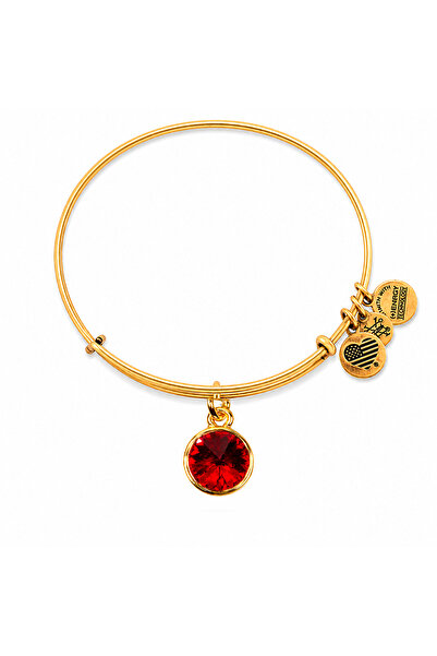 Alex and Ani Bratara Metal A12EB240RG