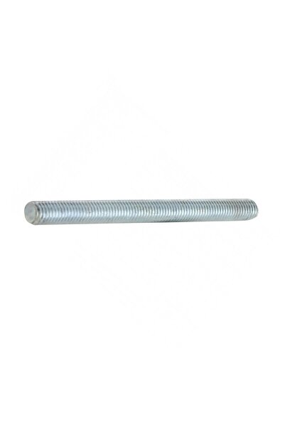 reyher Set 10 x Tija Filetata 2m DIN 975 Otel gr.8.8 Zincat-M 20