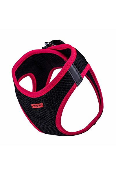 Doggie Neon Small Breed Dog Collar