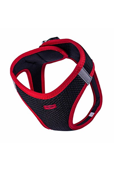 Doggie Neon Small Breed Dog Collar