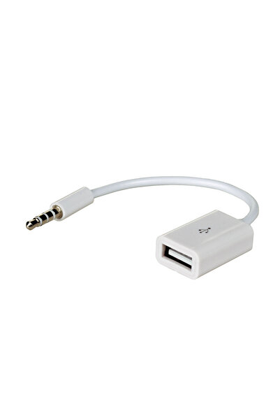 Akyga Adaptor cu cablu AK-AD-24 USB A mamă / mini Jack tată 15cm