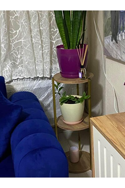 AKKAYAHOME Dekoratif 3 katlı Raflık, Çiçeklik, Köşe Rafi, Sehpa Çok Amaçlı Raf