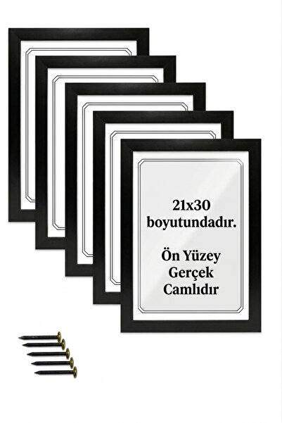 Flaneur Camlı 5li A4 21x30 Poster Tablo Sertifika Poster Çerçevesi