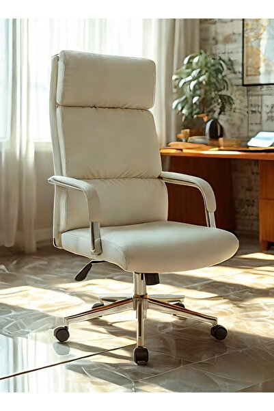 TAPIT Office Chair Ergonomic Office Chair - Home Office Desk Chair Height Adj...