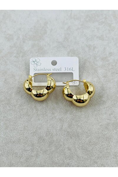Bozhi Earrings Steel Silver Special Gift