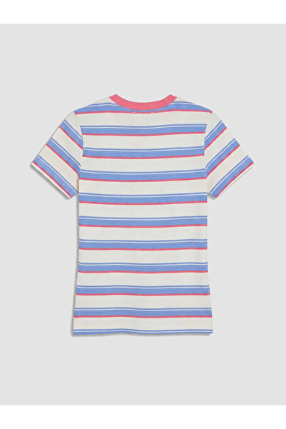 LC Waikiki Pink Crew Neck Striped Women's T-Shirt