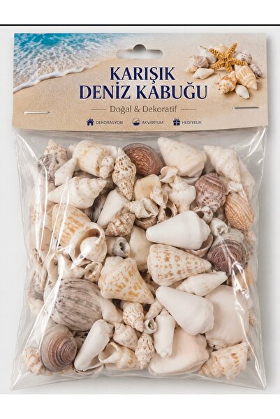 Karışık gerçek Deniz Kabukları 200 Gr