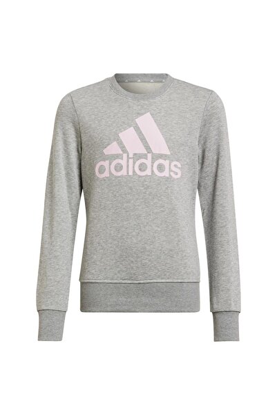 adidas Esențiale pentru copii Hanorac cu logo mare 128