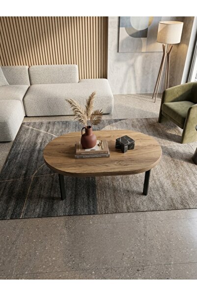 Generic Luxury Wooden Top Iron Legs Oval Centre Table Coffee Table