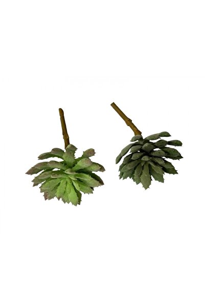 OEM Plante Suculente Artificiale Varza Bicolor (Set 3 buc) Verde Inchis