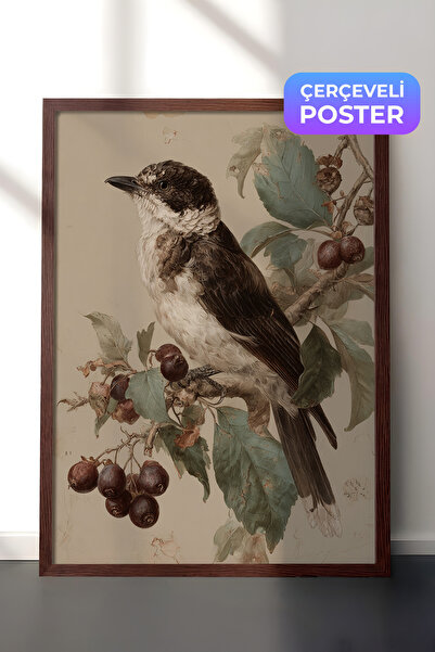 Zestia Vintage zidna slika, ilustracija ptice sa voćnim granama sa smeđim okv...