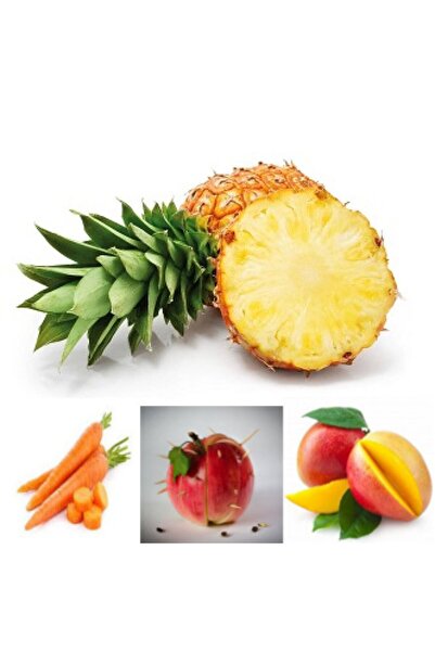 Livada cu Ceai White Sandy Beach Fruit Tea