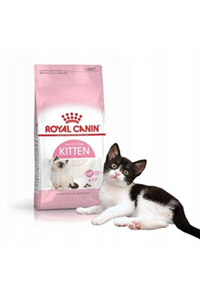 Other FHN Kitten 2 kg