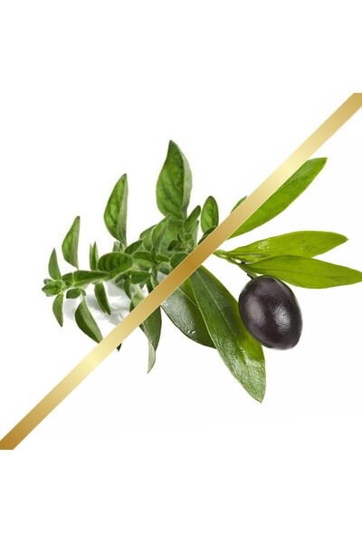 Herbstore.gr Ελαιόλαδο Βιολογικό με Βιολογικό Αιθέριο Έλαιο Ρίγανης - 200ml