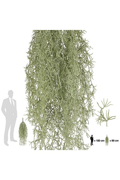 Roberto Rossi Planta curgatoare Long hair (tillandsia) 85 cm verde deschis