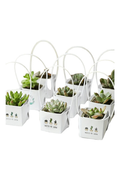 OEM Set 30 ambalaje pentru cadouri, decorate cu imprimeu, perfecte pentru ghi...