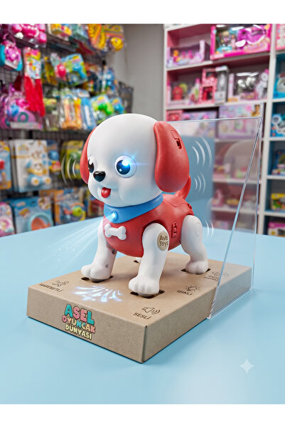 Dog Akıllı Köpek