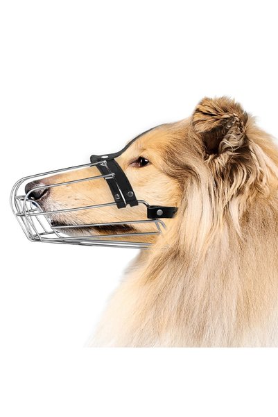 Bronze Bag Adjustable Metal Muzzle, Metal Basket and Natural Leather , Size 8...