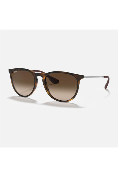Ray-Ban RB4171 ERIKA 865/13 54 18 145