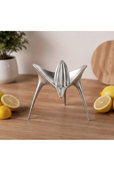 TERN HOME & DECORATİVE Citrus One