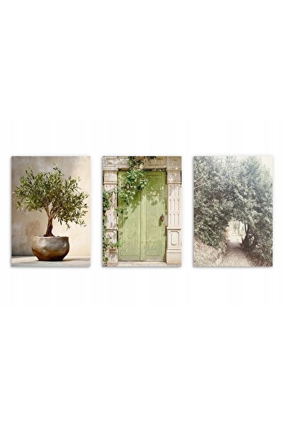 Naklejkomania Postere pentru perete in living sau dormitor: Boho verde 3x 50x...